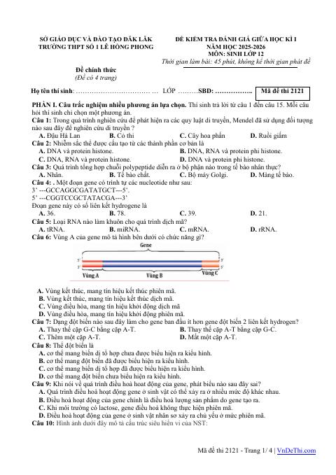 Đề thi Giữa kì 1 Sinh học 12 năm 2025-2026 trường THPT số 1 Lê Hồng Phong (Đắk Lắk)